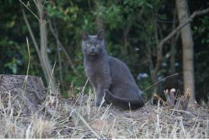 Jean Pierre GUERIN - AMPLITUDE-PHOTO